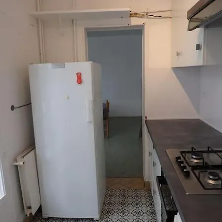 Mancelle 90 M2 Avec Jardin Parc Monod